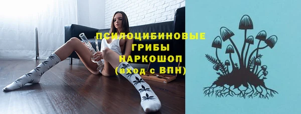 дурь Билибино