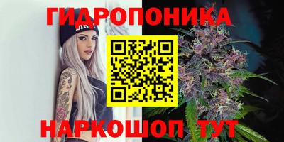 мяу мяу мука Заволжье