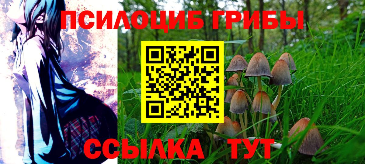 Галлюциногенные грибы Psilocybine cubensis  Вход с VPN  Сертолово 
